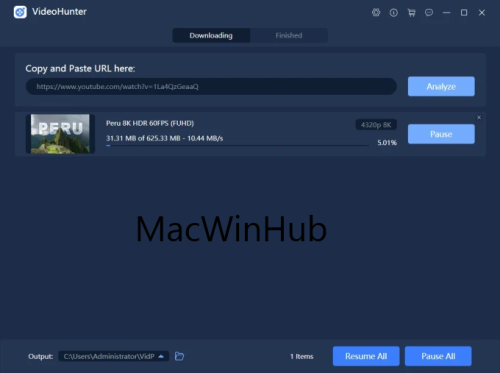 VideoHunter License Key