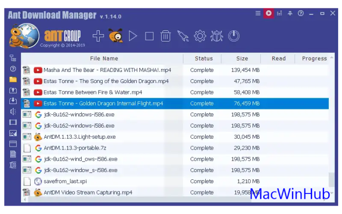 Ant Download Manager License
