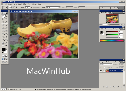 Adobe Photoshop CS6 Torrent Key