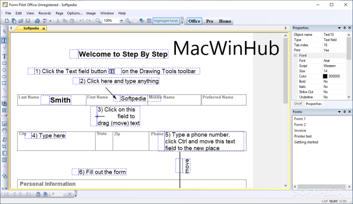 Forms Pilot Office Free Download