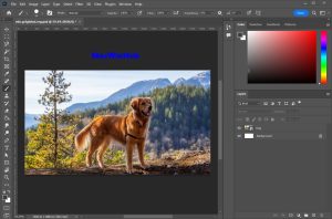 Adobe Photoshop Latest Version