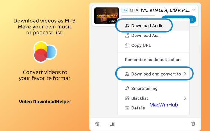 Video DownloadHelper License Key