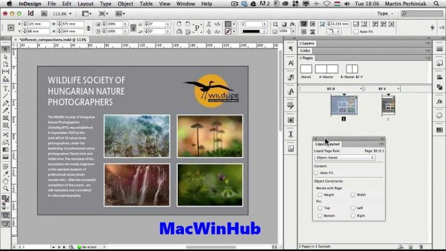 Adobe InDesign Download Full Version